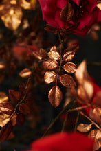 Afbeelding in Gallery-weergave laden, Kiss Me
